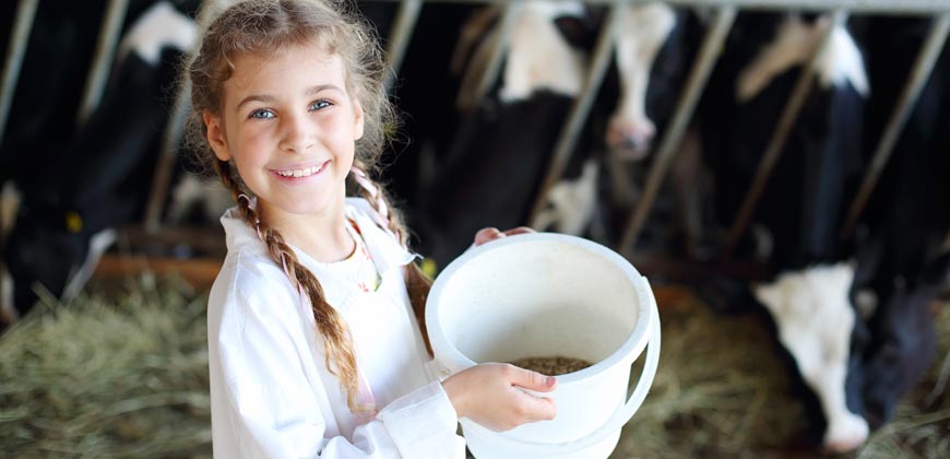 Animal Feed Milling 1