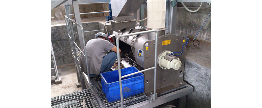 Continuous Single-Shaft Mixers for Fish Sauce_1